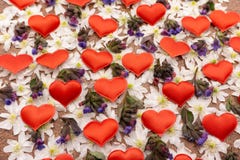 Red heart in a snowdrop flower.birth of love concept royalty free stock images Red heart in a snowdrop flower.birth of love concept royalty free stock images