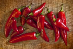 Red Hot Chili Peppers Royalty Free Stock Photography Red Hot Chili Peppers Royalty Free Stock Photography