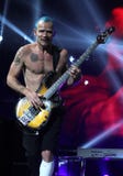 Red Hot Chili Peppers w koncercie zdjęcia stock Red Hot Chili Peppers w koncercie zdjęcia stock