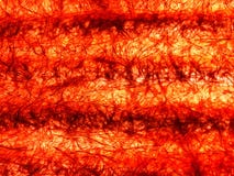 Red and orange grained texture with free design pattern , abstract grunge background stock images Red and orange grained texture with free design pattern , abstract grunge background stock images