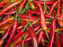 Red Pepper Stock Image