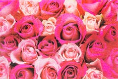 Red and pink roses image with glass texture surface background royalty free stock photo Red and pink roses image with glass texture surface background royalty free stock photo