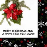 Red poinsettia and fir matural tree on white background. Frame in black with snow and christmas ornaments. Merry Christmas royalty free stock images Red poinsettia and fir matural tree on white background. Frame in black with snow and christmas ornaments. Merry Christmas royalty free stock images