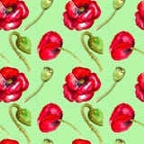 Red poppies watercolor seamless pattern on green background hand drawing stock illustration Red poppies watercolor seamless pattern on green background hand drawing stock illustration