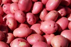 Red Potatoes Royalty Free Stock Images
