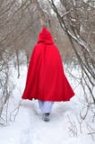 Red Riding Hood Leaves On A Footpath Stock Images