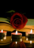 Red Rose And Book Stock Image