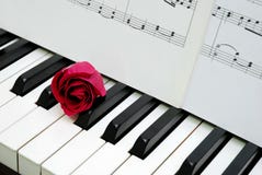 Red Rose And Music Score On Piano Keyboard Stock Photo