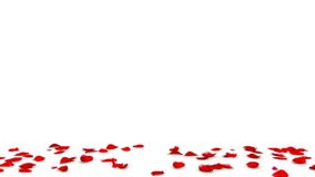 Red rose petals fly from both sides and fall to the floor. 4K video quality