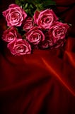 Red Roses Stock Photos