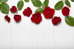 Red roses and green leaves on a white wooden table. Vintage floral pattern. View from above. Flower pattern. Stock Images Red roses and green leaves on a white wooden table. Vintage floral pattern. View from above. Flower pattern. Stock Images