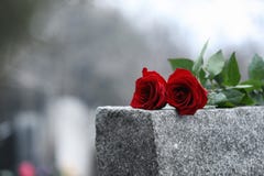 Red roses on grey granite tombstone. Funeral ceremony