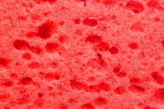 red sponge texture stock images red sponge texture stock images
