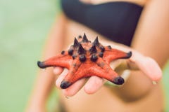 Red starfish in the hands, next to the sea stock photo Red starfish in the hands, next to the sea stock photo