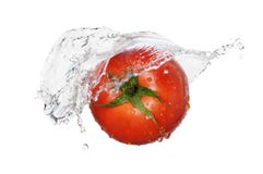 Red Tomato Splash Stock Photography