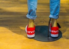 levis paint belgium