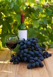 Red Wine Royalty Free Stock Photo Red Wine Royalty Free Stock Photo