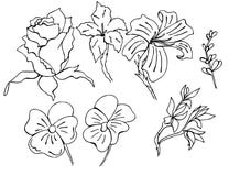 Reeks hand getrokken bloemen in vector die in krabbelstijl wordt uitgevoerd royalty-vrije illustratie Reeks hand getrokken bloemen in vector die in krabbelstijl wordt uitgevoerd royalty-vrije illustratie