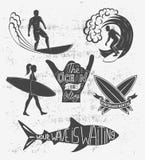 Reeks het surfen uitstekende ontwerpelementen De vectorillustratie van het brandingsembleem Surfplank logotypes Retro stijl Stock Fotografie Reeks het surfen uitstekende ontwerpelementen De vectorillustratie van het brandingsembleem Surfplank logotypes Retro stijl Stock Fotografie
