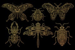 Reeks insectenvlinders, libellen, kevers royalty-vrije illustratie Reeks insectenvlinders, libellen, kevers royalty-vrije illustratie
