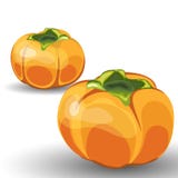 Reeks van Twee Glanzende Oranje Permisson vector illustratie Reeks van Twee Glanzende Oranje Permisson vector illustratie