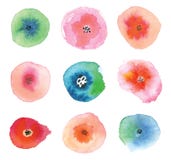 Reeks waterverfbloemen stock illustratie Reeks waterverfbloemen stock illustratie