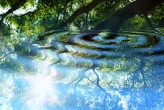 Reflection Of Forest On Water Stock Images Reflection Of Forest On Water Stock Images