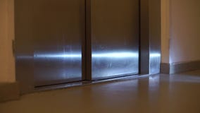para donar plantador mi Reflejo De Luz En La Puerta Del Ascensor Almacen De Video - Vídeo de concepto, color: 161766613 para donar plantador mi Reflejo De Luz En La Puerta Del Ascensor Almacen De Video - Vídeo de concepto, color: 161766613