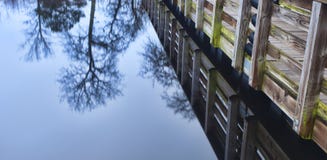 reflexion lizenzfreies stockfoto reflexion lizenzfreies stockfoto