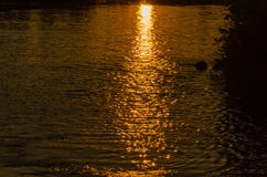 Reflexion av strålarna av inställningssolen på yttersidan av vattnet indiskt vatten f?r textur f?r havshinesun Naturlig bakgrund royaltyfria bilder Reflexion av strålarna av inställningssolen på yttersidan av vattnet indiskt vatten f?r textur f?r havshinesun Naturlig bakgrund royaltyfria bilder