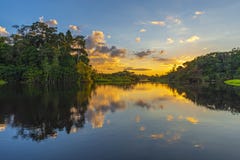 Reflexion för amasonRainforestsolnedgång, Ecuador arkivbild Reflexion för amasonRainforestsolnedgång, Ecuador arkivbild