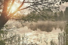 Reflexión de los primeros rayos de la luz del sol del amanecer en el lago fotografía de archivo Reflexión de los primeros rayos de la luz del sol del amanecer en el lago fotografía de archivo