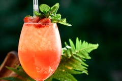 Refreshing orange summer cocktail with ice and mint on the background of green leaves. space. close up. royalty free stock image Refreshing orange summer cocktail with ice and mint on the background of green leaves. space. close up. royalty free stock image