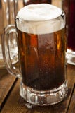 Refrigerante root beer de refrescamento frio imagens de stock Refrigerante root beer de refrescamento frio imagens de stock