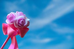 Regalo de la rosa del rosa contra el cielo azul borroso Foto de archivo libre de regalías