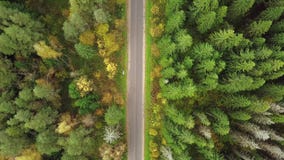 Regardant vers le bas sur la route dans la forêt de couleurs stupéfiantes d'automne, splendeur d'automne, survol aérien Vue d'Are Regardant vers le bas sur la route dans la forêt de couleurs stupéfiantes d'automne, splendeur d'automne, survol aérien Vue d'Are