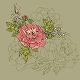 Regeling van pioenbloemen op een groene achtergrond stock illustratie Regeling van pioenbloemen op een groene achtergrond stock illustratie