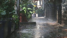 Regen die op installaties in lege straat in Mumbai vallen stock video Regen die op installaties in lege straat in Mumbai vallen stock video