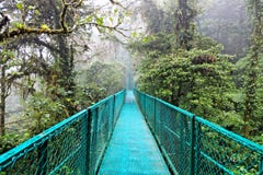 Regen-Wald, Costa Rica