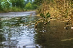 Regnerisches Wetter lizenzfreie stockfotos Regnerisches Wetter lizenzfreie stockfotos