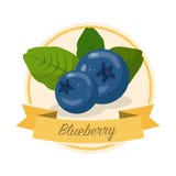 Reife Blaubeeren mit Namenvektorillustration lizenzfreie abbildung Reife Blaubeeren mit Namenvektorillustration lizenzfreie abbildung