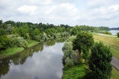 Rein and dam near forest Royalty Free Stock Photos Rein and dam near forest Royalty Free Stock Photos