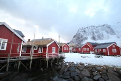 Reine en hiver photo libre de droits Reine en hiver photo libre de droits