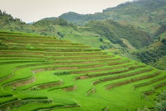 Reisfeld terassenförmig angelegt in MU Cang Chai, Vietnam stockfoto Reisfeld terassenförmig angelegt in MU Cang Chai, Vietnam stockfoto