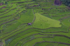 Reisterrassen in Banaue die Philippinen lizenzfreies stockfoto Reisterrassen in Banaue die Philippinen lizenzfreies stockfoto