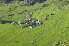 Reisterrassen in Banaue die Philippinen stockfoto Reisterrassen in Banaue die Philippinen stockfoto