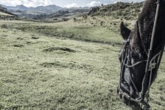 Reiten Cusco lizenzfreies stockfoto Reiten Cusco lizenzfreies stockfoto