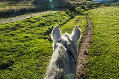 Reiten Cusco stockbild Reiten Cusco stockbild
