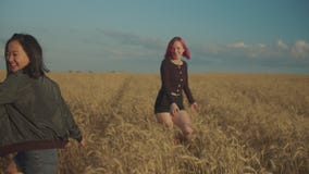 Reizende Frauen, die auf dem Weizengebiet bei Sonnenuntergang sich freuen stock footage Reizende Frauen, die auf dem Weizengebiet bei Sonnenuntergang sich freuen stock footage