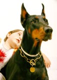 Reizender Hund Reizender Hund